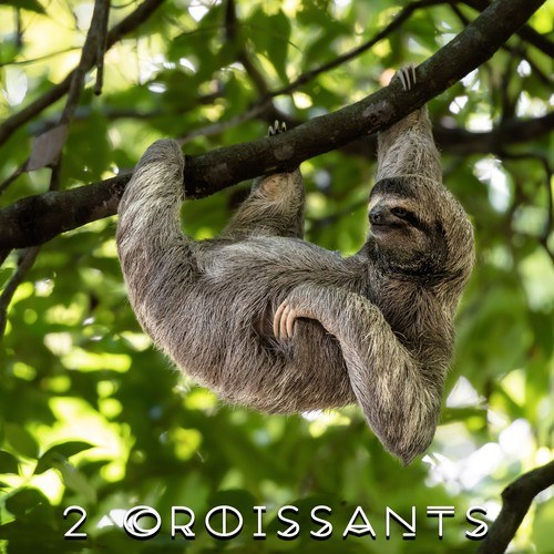 2 Croissants-Chillin' in the Jungle
