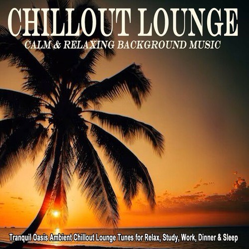 Various Artists-Chillout Lounge - 120 Minutes of Calm & Relaxing Background Music (Tranquil Oasis Ambient Chillout Lounge Tunes for Relax, Study, Work, Dinner & Sleep)