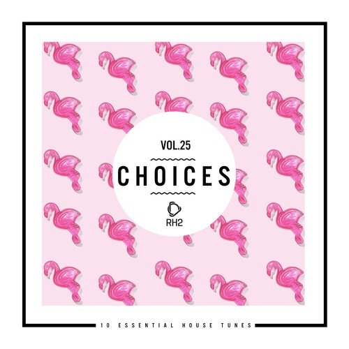 Various Artists-Choices - 10 Essential House Tunes, Vol. 25