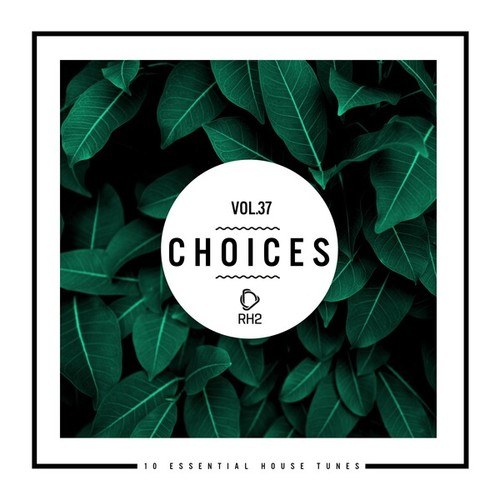Various Artists-Choices - 10 Essential House Tunes, Vol. 37