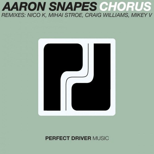 Aaron Snapes, Mikey V., Nico K Redrive, Mihai Stroe, Craig Williams-Chorus
