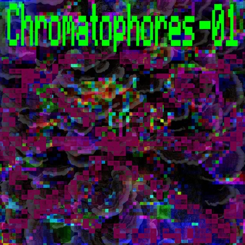 Xenon Chameleon-Chromatophores-01