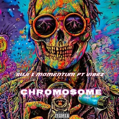 cHroMOsomE