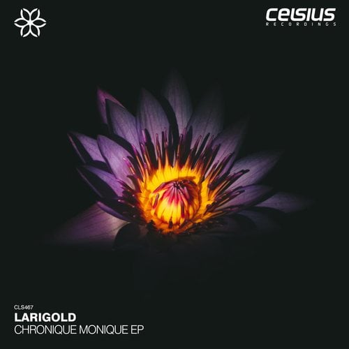 LARIGOLD-Chronique Monique EP