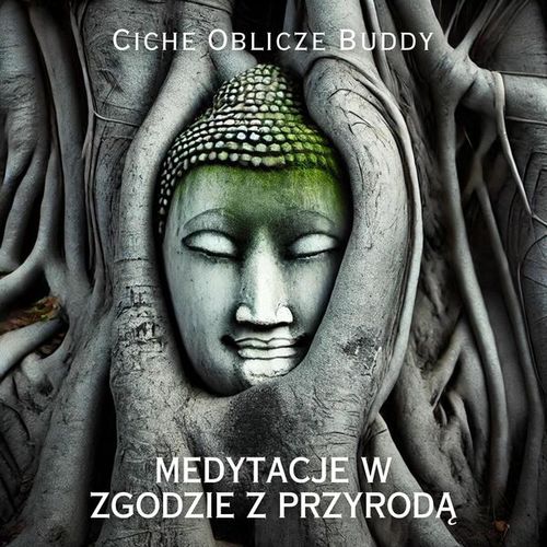 Ciche Oblicze Buddy