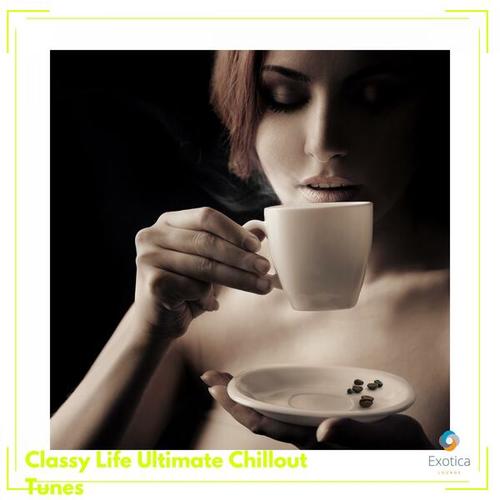 Various Artists-Classy Life Ultimate Chillout Tunes