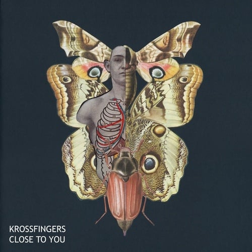 Krossfingers-Close to You