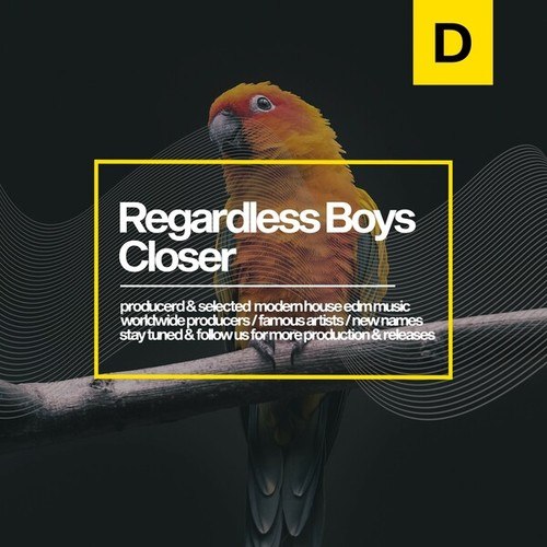 Regardless Boys-Closer