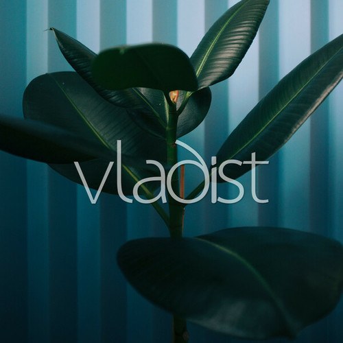 Vladist-Closer