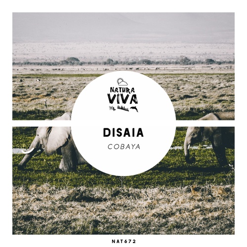 Disaia-Cobaya