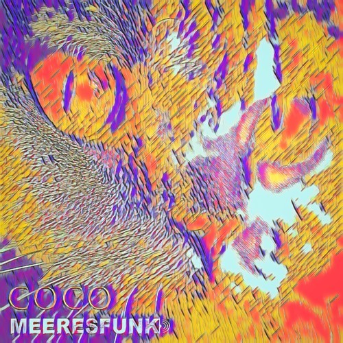 Meeresfunk-Coco