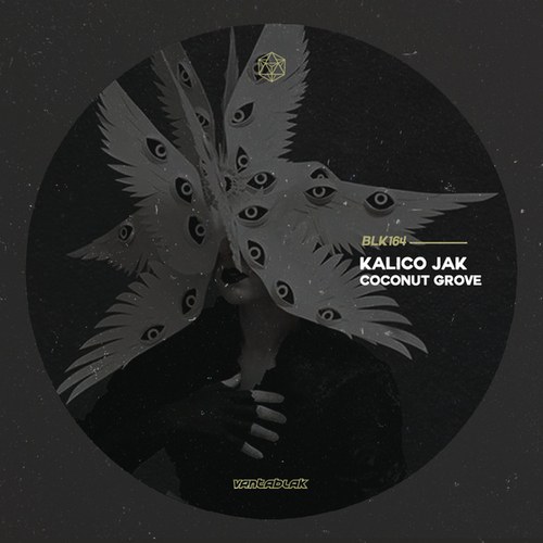 Kalico Jak-Coconut Grove