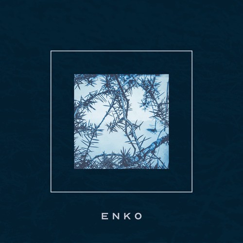 Enkō, Worg, Nternal Bserver-Codon