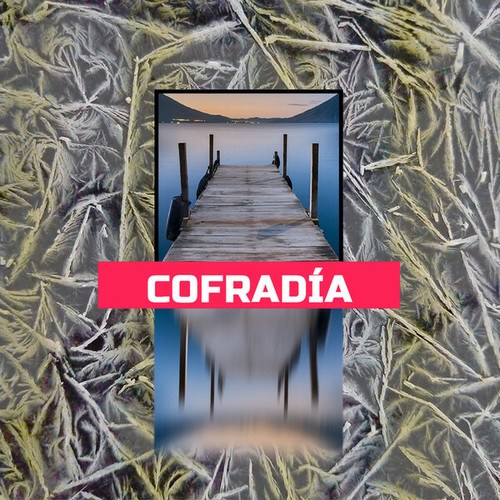 Cofradia