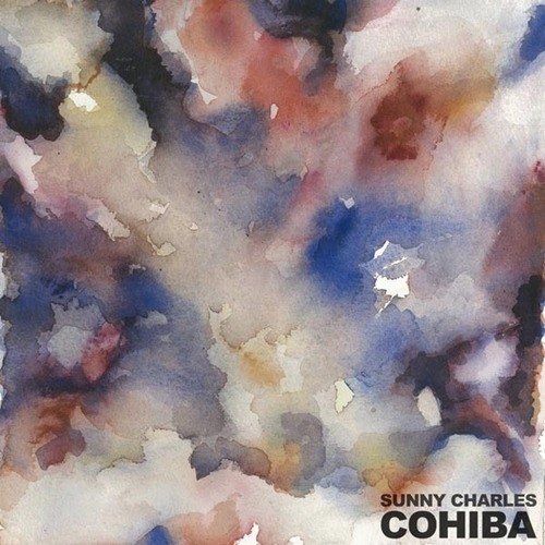 Sunny Charles, Agazzi, The D.L.O., Hubble-Cohiba