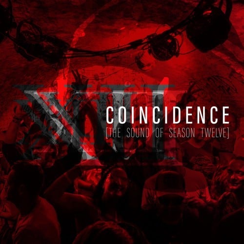 Various Artists-Coincidence: The Sound of Season Twelve