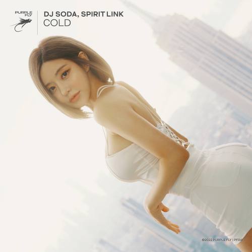 DJ SODA, SPIRIT LINK-Cold