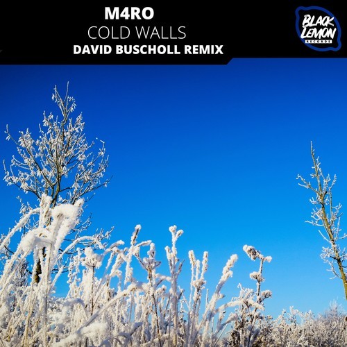 M4RO, David Buscholl-Cold Walls (David Buscholl Remix)