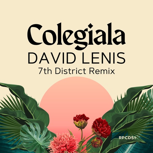 David Lenis, 7th District-Colegiala