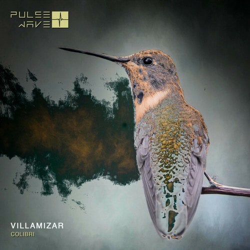 Villamizar-Colibri