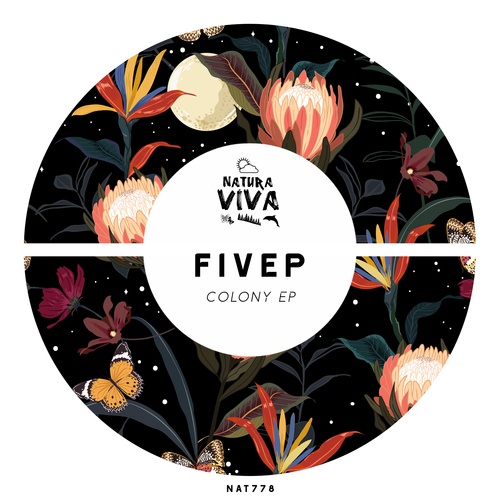 FiveP-Colony