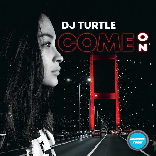 Dj Turtle-Come On