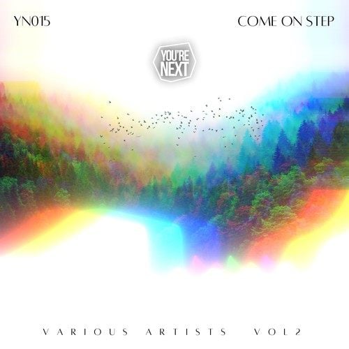 Various Artists-Come on Step, Vol. 2