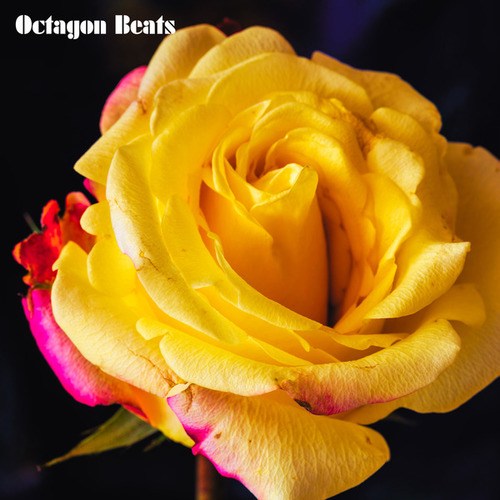 Octagon Beats-Come Up