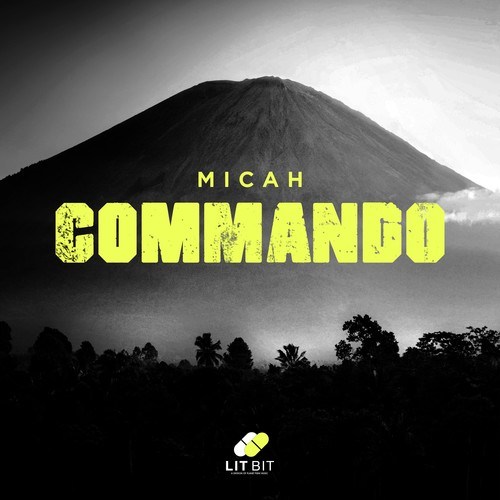 MICAH-Commando