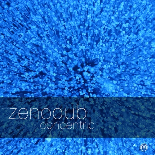 Zenodub, Dirt Monkey, Alert-Concentric