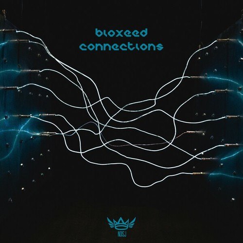 Bioxeed-Connections