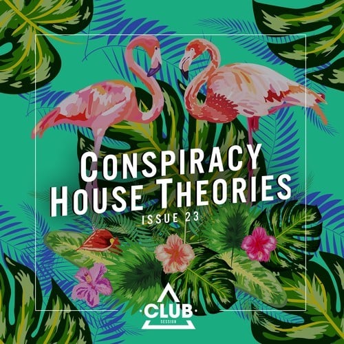 Various Artists-Conspiracy House Theories, Issue 23