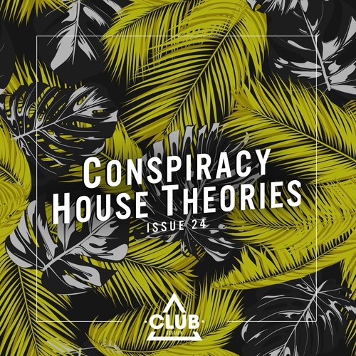 Various Artists-Conspiracy House Theories, Issue 24