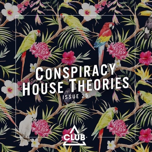 Various Artists-Conspiracy House Theories, Issue 25