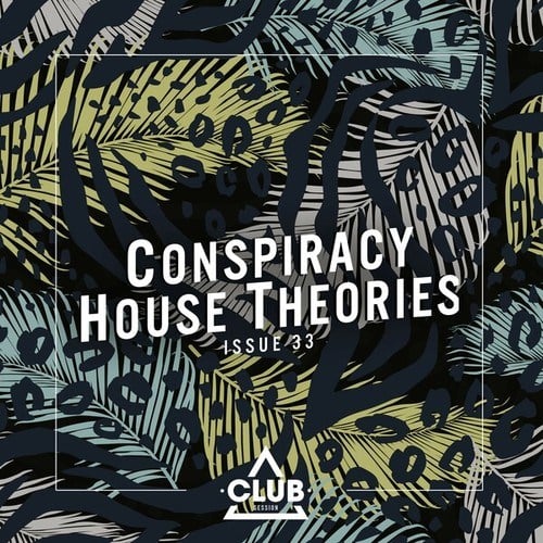 Various Artists-Conspiracy House Theories, Issue 33