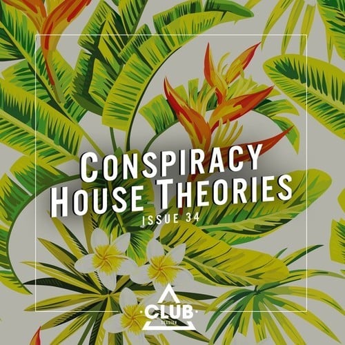 Various Artists-Conspiracy House Theories, Issue 34