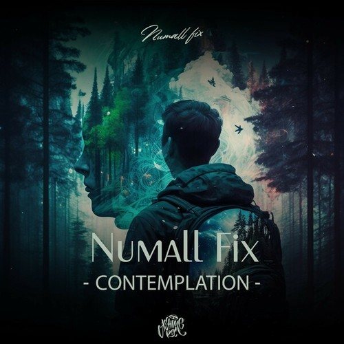 Numall Fix-Contemplation