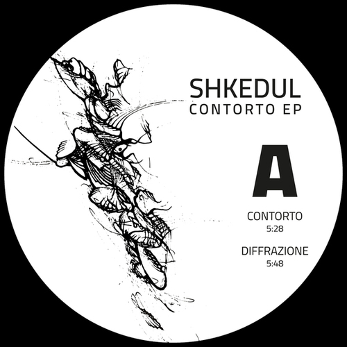 Shkedul-Contorto
