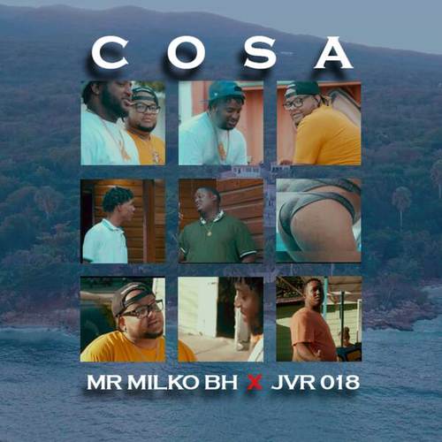 Mr Milko BH, JVR018-Cosa