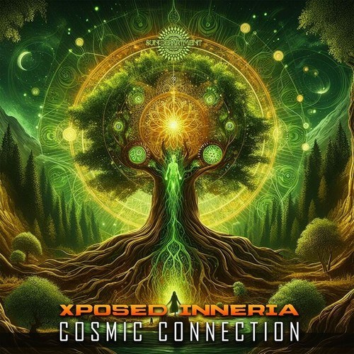 Cosmic Connection