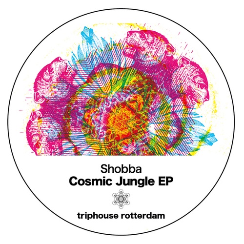 Shobba-Cosmic Jungle EP