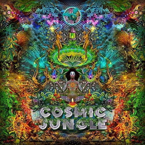 Various Artists-Cosmic Jungle