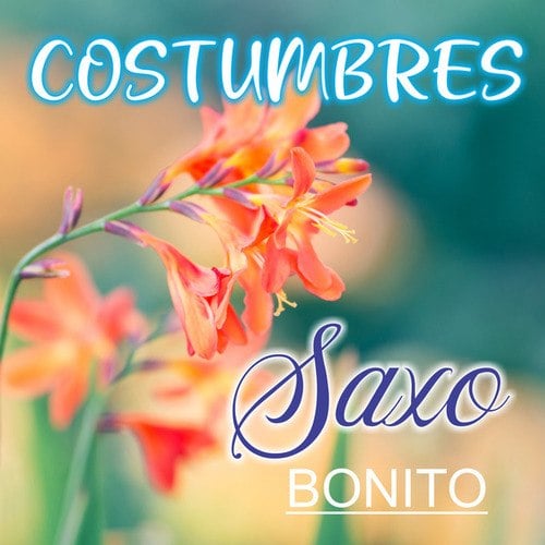 Costumbres(Al Estilo Pantoja)