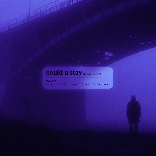 Leapyear-could u stay (slowed + reverb)