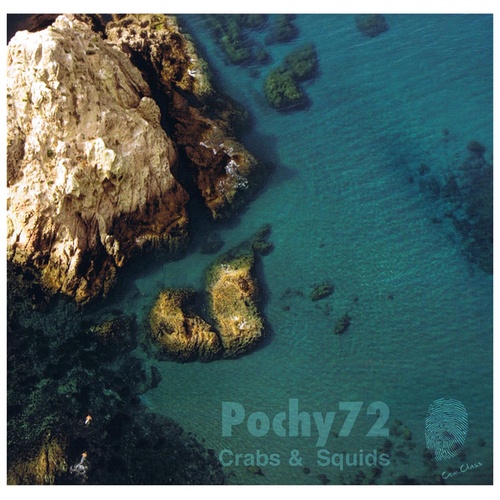 Pochy72-Crabs & Squids