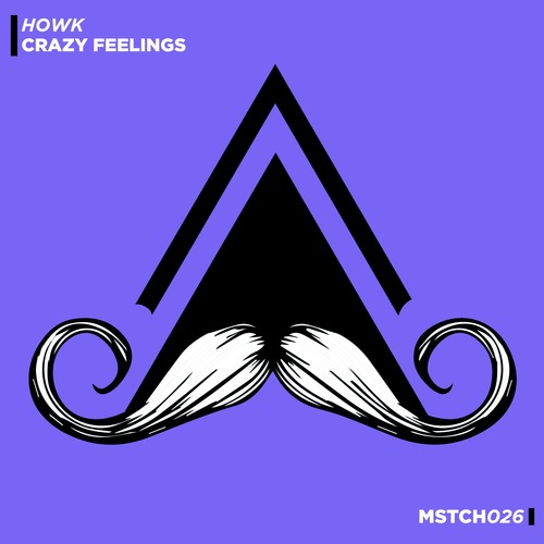 Howk-Crazy Feelings (Radio-Edit)
