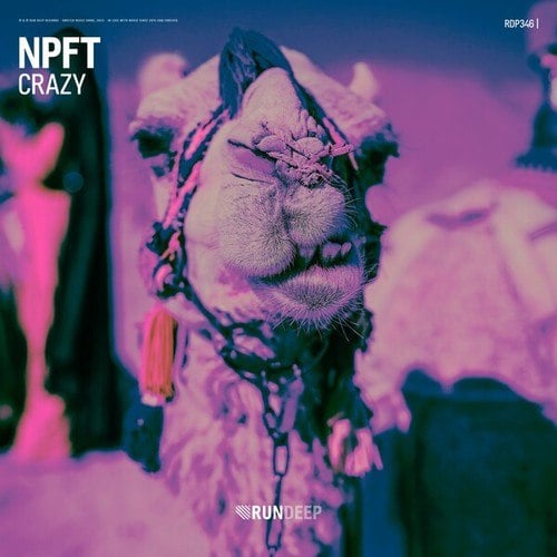 NPFT-Crazy