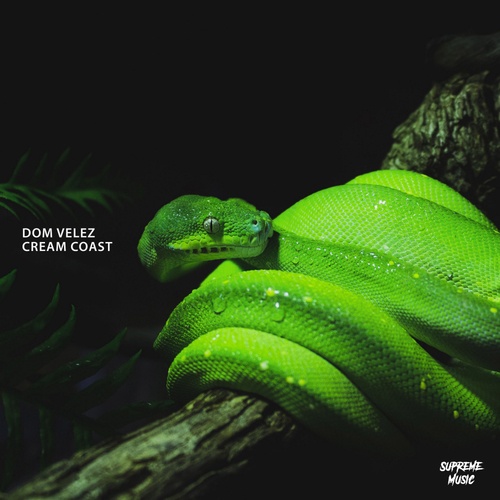 Dom Velez-Cream Coast