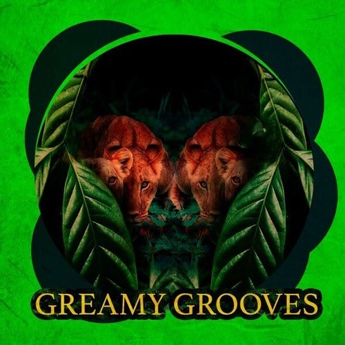 Creamy Grooves