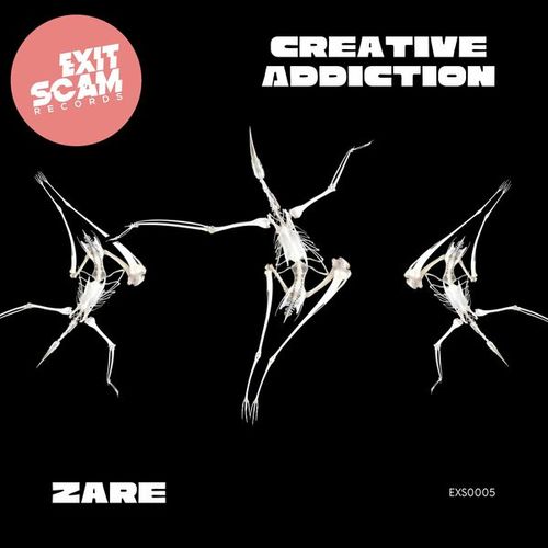 Zare-Creative Addiction